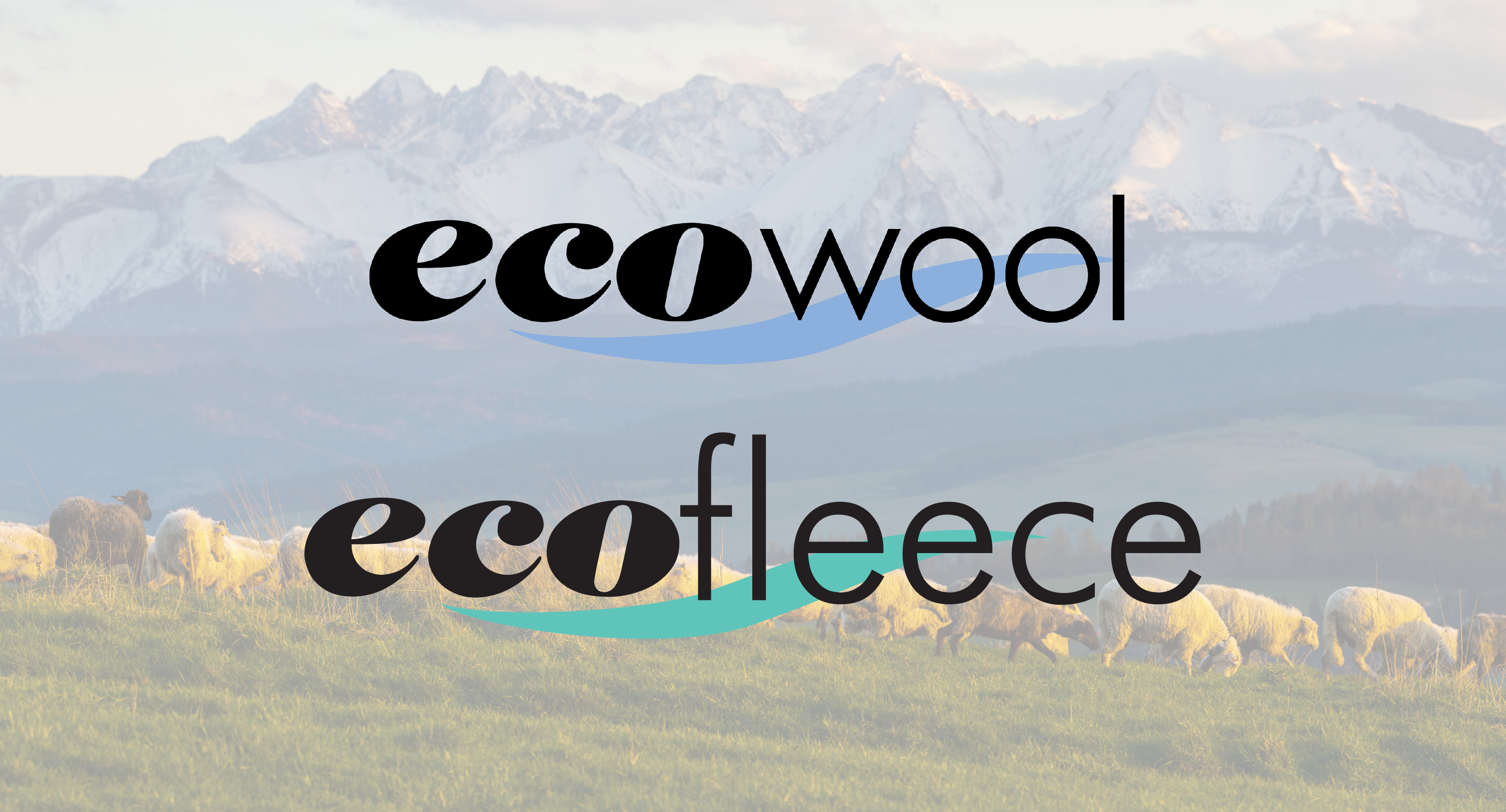 ECO Range Header for ES Website-1